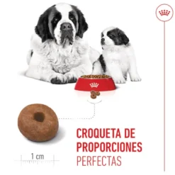 Royal Canin Starter Puppy Giant Ração