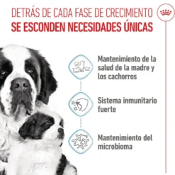 Royal Canin Starter Puppy Giant Ração