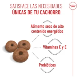 Royal Canin Starter Puppy Giant Ração