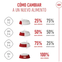 Royal Canin Starter Puppy Giant Ração