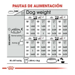 Royal Canin Sterilised Medium ração para cães