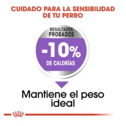 Royal Canin Sterilised Medium ração para cães
