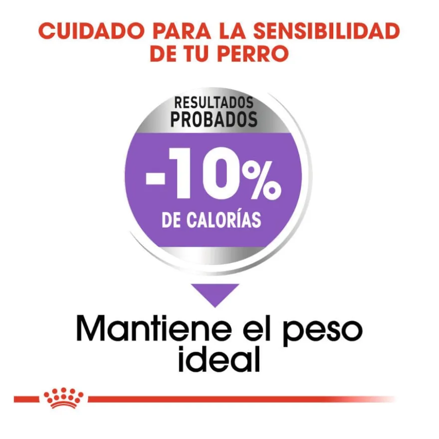 Royal Canin Sterilised Medium ração para cães