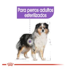 Royal Canin Sterilised Medium ração para cães