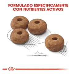 Royal Canin Sterilised Medium ração para cães