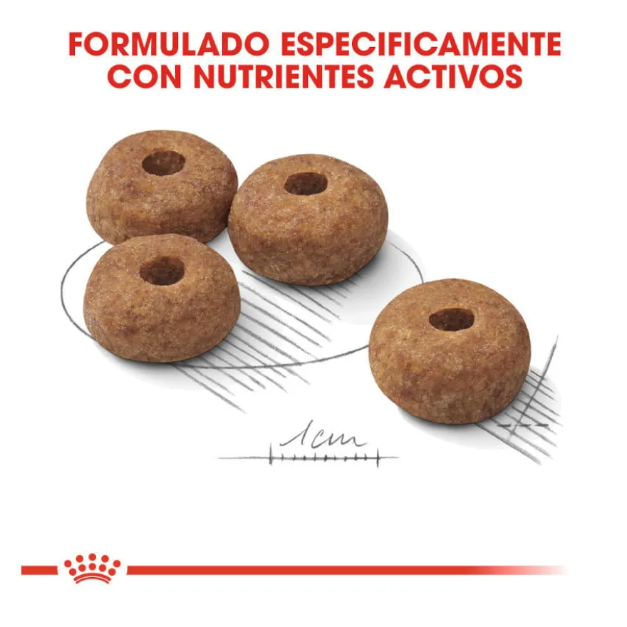 Royal Canin Sterilised Medium ração para cães