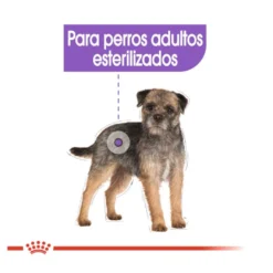 Royal Canin Sterilised Patê em saquetas para cães