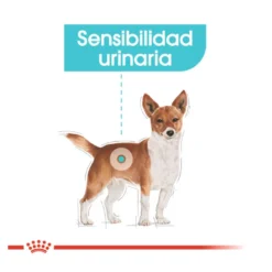 Royal Canin Urinary Care patê saqueta para cães