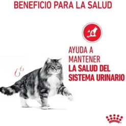 Royal Canin Urinary ração para gatos