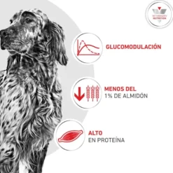 Royal Canin Veterinary Diabetic Lata para cães