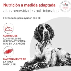 Royal Canin Veterinary Diabetic Lata para cães