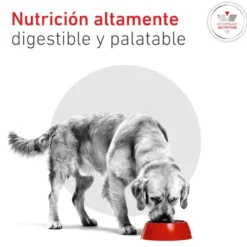 Royal Canin Veterinary Diabetic Lata para cães
