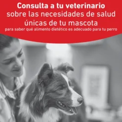 Royal Canin Veterinary Diabetic Lata para cães