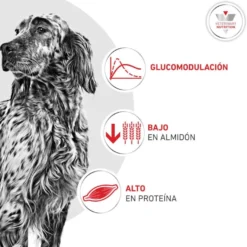 Royal Canin Veterinary Diabetic Ração para cães