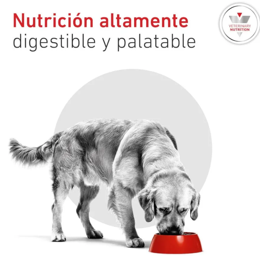 Royal Canin Veterinary Diabetic Ração para cães