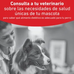 Royal Canin Veterinary Diabetic Ração para cães