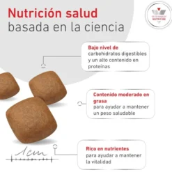 Royal Canin Veterinary Diabetic Ração para cães