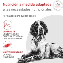 Royal Canin Veterinary Diabetic Ração para cães