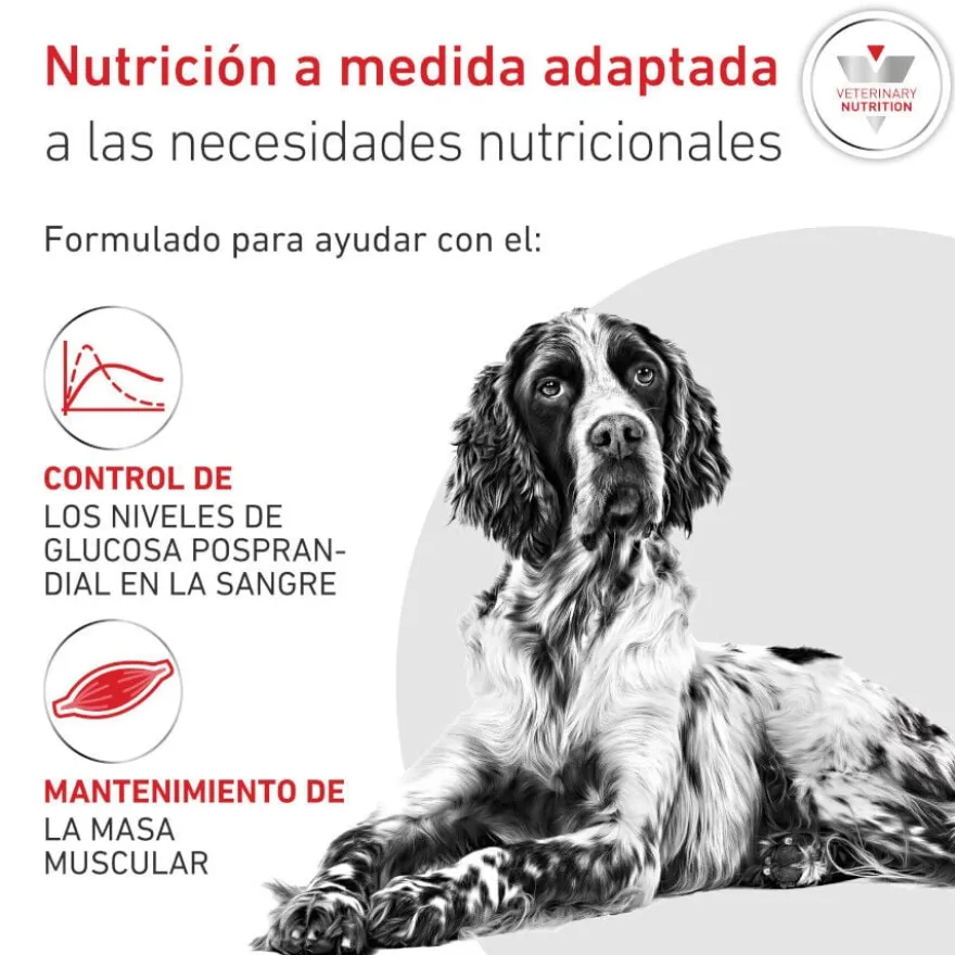 Royal Canin Veterinary Diabetic Ração para cães
