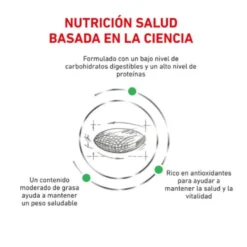 Royal Canin Veterinary Diabetic ração para gatos