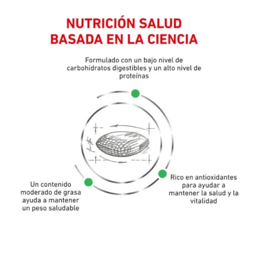 Royal Canin Veterinary Diabetic ração para gatos
