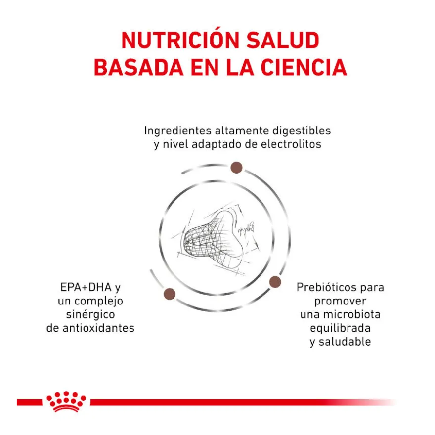 Royal Canin Veterinary Gastrointestinal Fibre Response ração para gatos