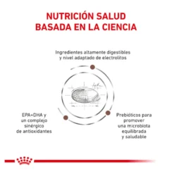 Royal Canin Veterinary Gastrointestinal Moderate Calorie ração para gatos