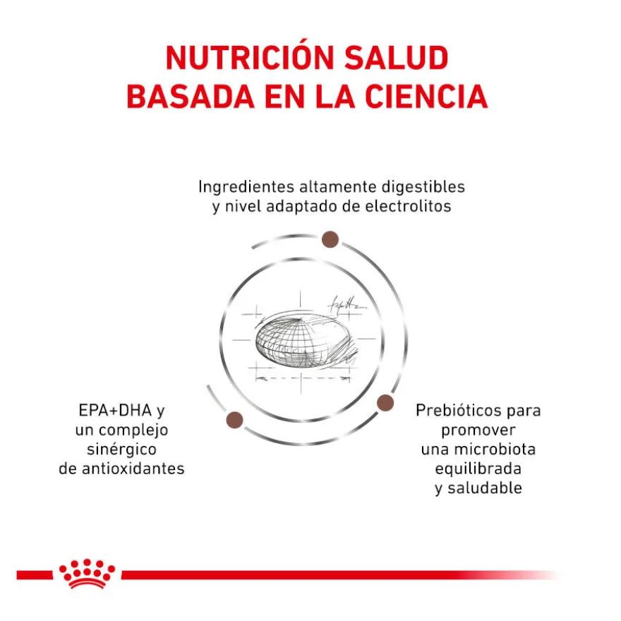 Royal Canin Veterinary Gastrointestinal Moderate Calorie ração para gatos