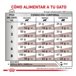 Royal Canin Veterinary Gastrointestinal ração para gatos