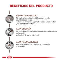 Royal Canin Veterinary Gastrointestinal ração para gatos