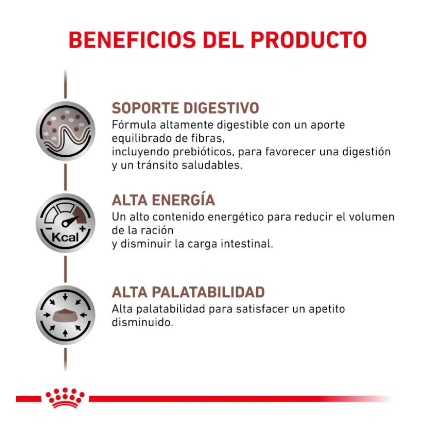 Royal Canin Veterinary Gastrointestinal ração para gatos