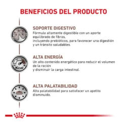Royal Canin Veterinary Gastrointestinal saqueta em molho para gatos