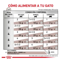 Royal Canin Veterinary Gastrointestinal saqueta em molho para gatos