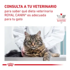 Royal Canin Veterinary Gastrointestinal saqueta em molho para gatos