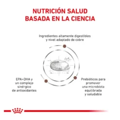 Royal Canin Veterinary Hepatic ração para gatos