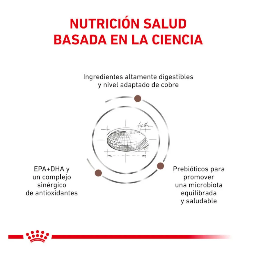 Royal Canin Veterinary Hepatic ração para gatos
