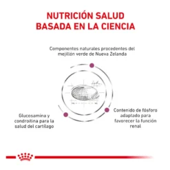 Royal Canin Veterinary Mobility ração para gatos