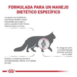 Royal Canin Veterinary Mobility ração para gatos