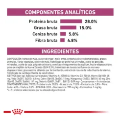 Royal Canin Veterinary Mobility ração para gatos