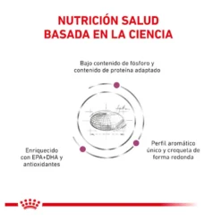 Royal Canin Veterinary Renal ração para gatos