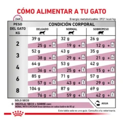 Royal Canin Veterinary Renal ração para gatos