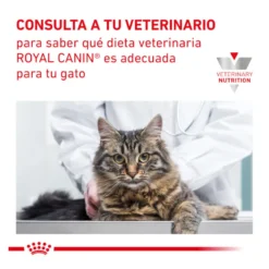 Royal Canin Veterinary Renal ração para gatos