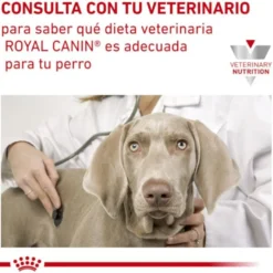 Royal Canin Veterinary Sensitivity Control Mousse de Galinha e Arroz lata para cães