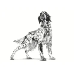 Royal Canin Veterinary Sensitivity Control Pato e Arroz Lata para cães