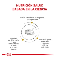 Royal Canin Veterinary Urinary Moderate Calorie ração para gatos