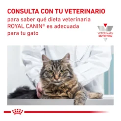 Royal Canin Veterinary Urinary Moderate Calorie ração para gatos