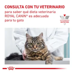 Royal Canin Veterinary Urinary Moderate Calorie ração para gatos