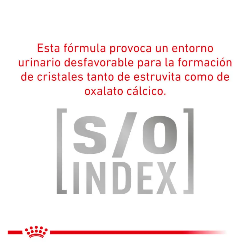 Royal Canin Veterinary Urinary Moderate Calorie ração para gatos
