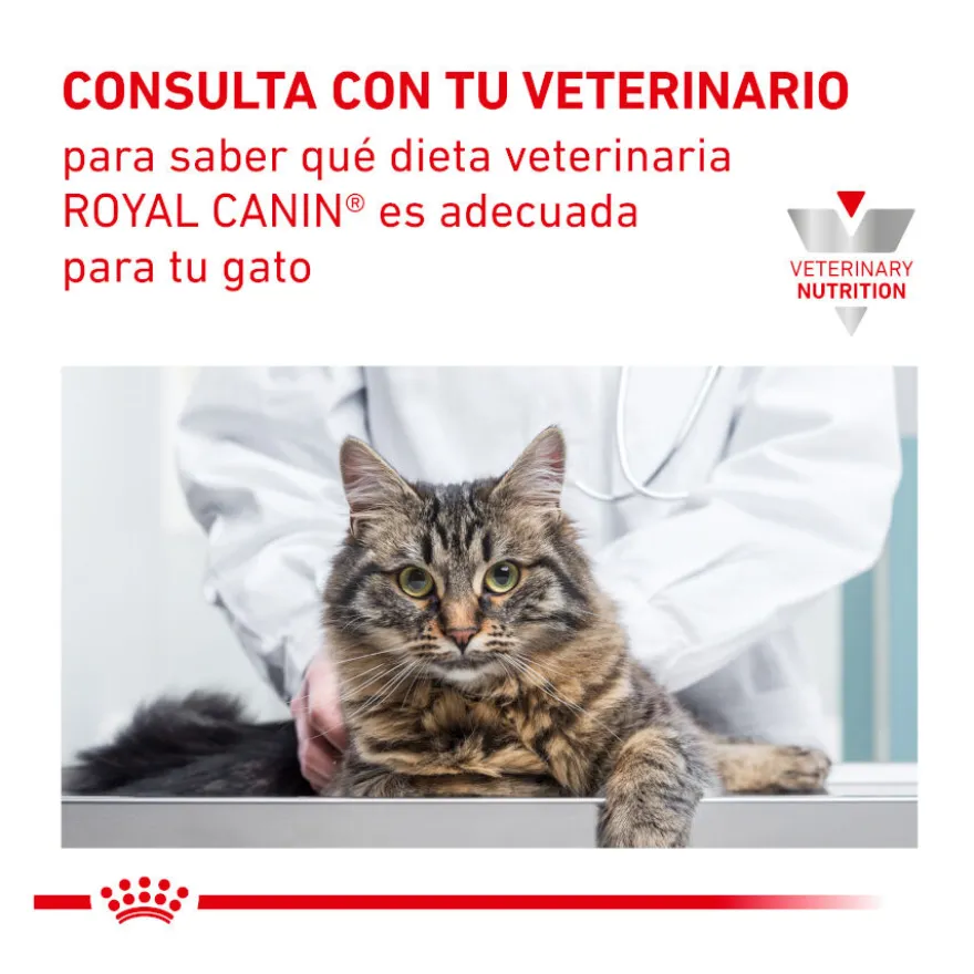 Royal Canin Veterinary Urinary Moderate Calorie ração para gatos