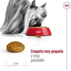 Royal Canin X-Small Adult ração para cães